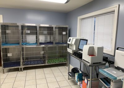 Animal Tracks Veterinary Hospital Lab Area & Hospital Kennels