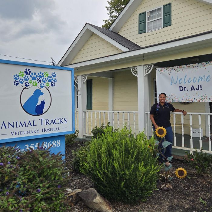 Animal Tracks Veterinary Hospital Coming soon